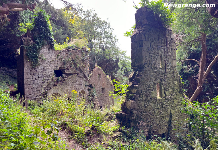 St. Erc’s Hermitage in the grounds of Slane Castle