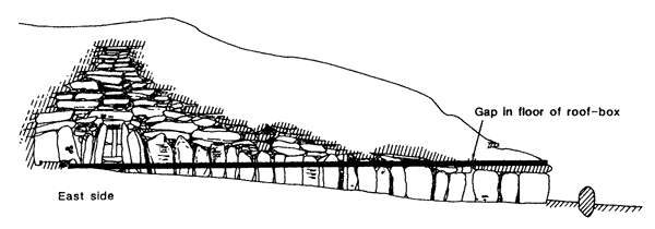 Sectional elevation of the east side of Newgrange showing the path of the sun rays