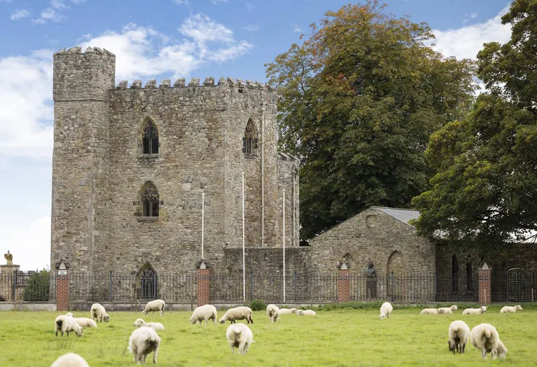 Dowth Castle stone tower with battlements and Gothic windows, sheep grazing in the green pasture below