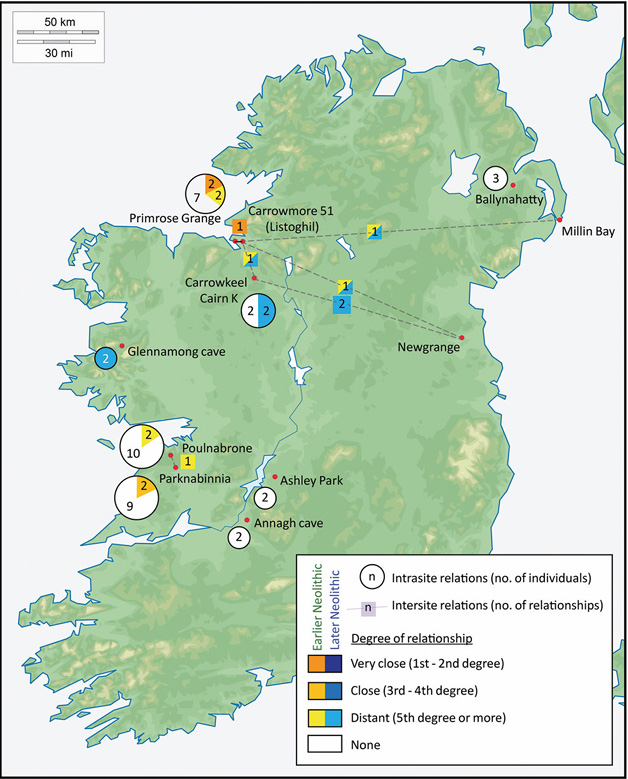 Biological kinship in Neolithic Ireland