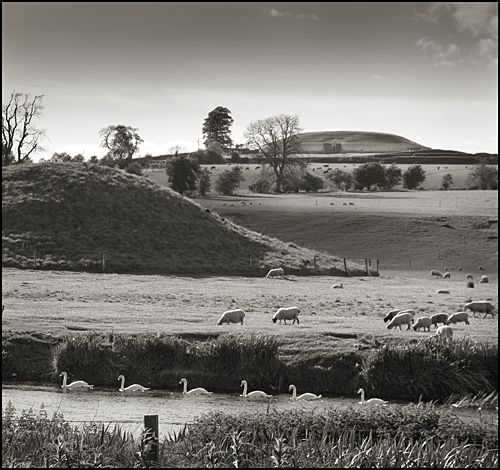 Newgrange Mound B with the main mound in the background.